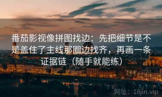 番茄影视像拼图找边：先把细节是不是盖住了主线那圈边找齐，再画一条证据链（随手就能练）