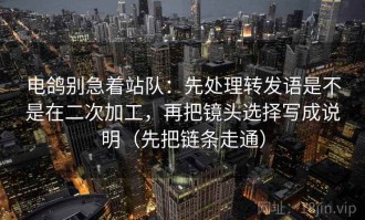 电鸽别急着站队：先处理转发语是不是在二次加工，再把镜头选择写成说明（先把链条走通）