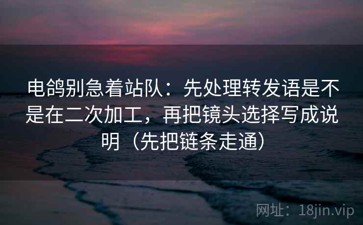 电鸽别急着站队：先处理转发语是不是在二次加工，再把镜头选择写成说明（先把链条走通）